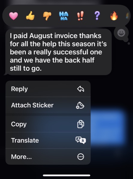 Client message 3